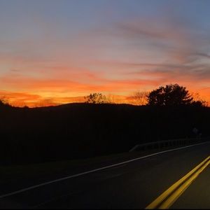 Meet your Posher, Sophia